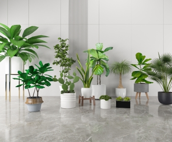 Modern Potted Green Plant-ID:862654926