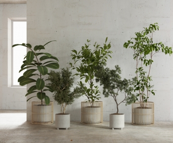Modern Potted Green Plant-ID:802272082