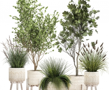 Modern Potted Green Plant-ID:532253987