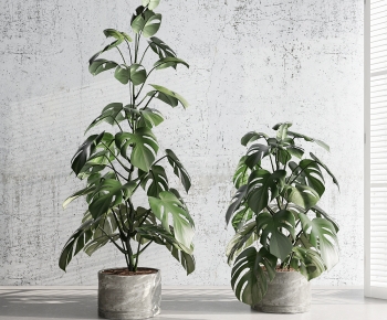 Modern Potted Green Plant-ID:946009277