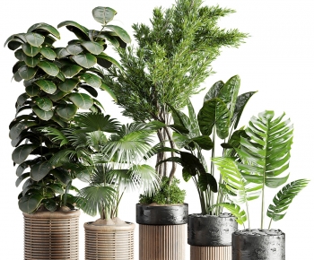 Modern Potted Green Plant-ID:641858104