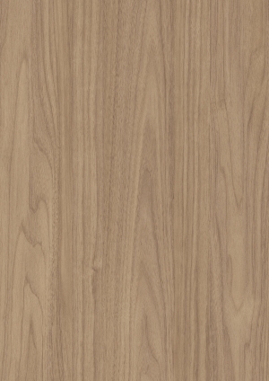 ModernWood Texture