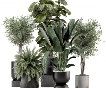 Modern Potted Green Plant-ID:105858097