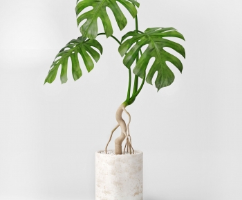 Modern Potted Green Plant-ID:904050115