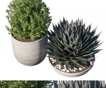 Modern Potted Green Plant-ID:285068048
