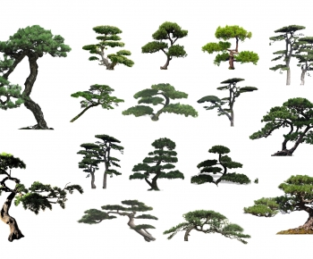 中式造型松树-ID:931438921
