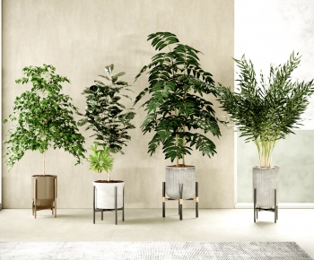 Modern Potted Green Plant-ID:946180886