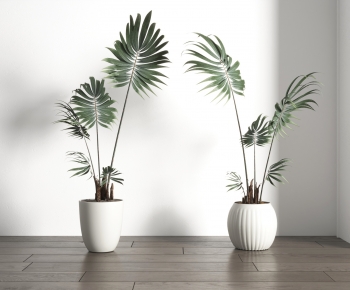 Modern Potted Green Plant-ID:489077095