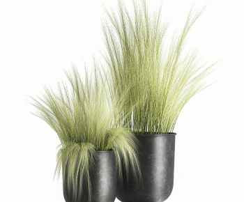 Modern Potted Green Plant-ID:349890959