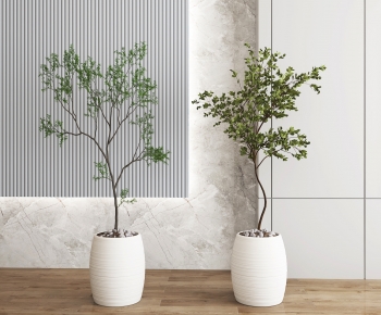 Modern Potted Green Plant-ID:831324101