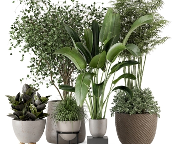 Modern Potted Green Plant-ID:166420943