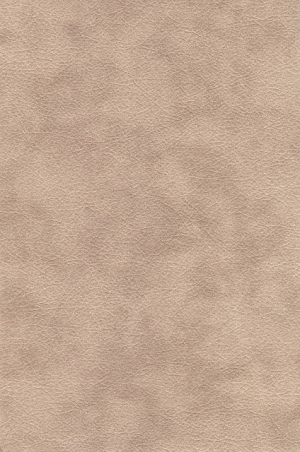 ModernRough Grain Leather