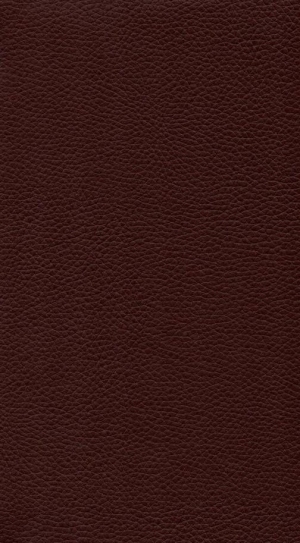 ModernRough Grain Leather