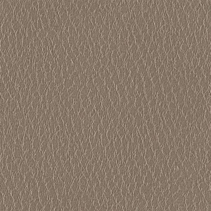 ModernRough Grain Leather