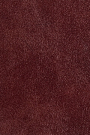 ModernRough Grain Leather