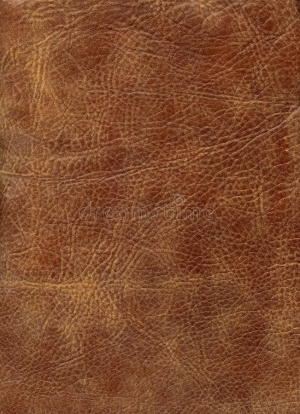 ModernRough Grain Leather