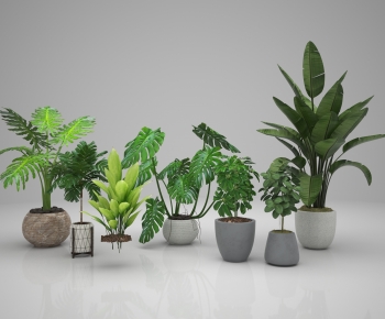 Modern Potted Green Plant-ID:790668962