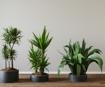 Modern Potted Green Plant-ID:673522951
