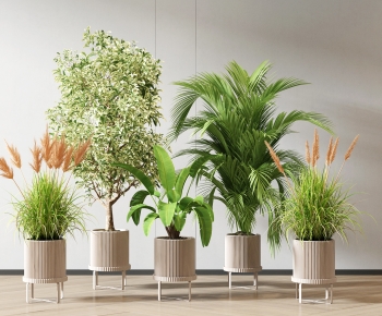 Modern Potted Green Plant-ID:538408049