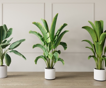 Modern Potted Green Plant-ID:411849055