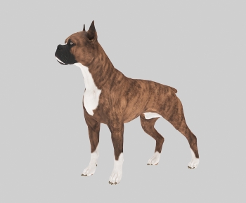  Animal Dog-ID:696795944