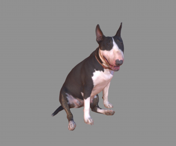 Modern Animal Dog-ID:922389031