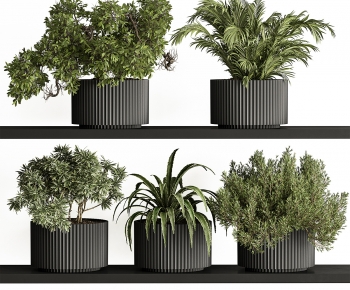 Modern Potted Green Plant-ID:286758907