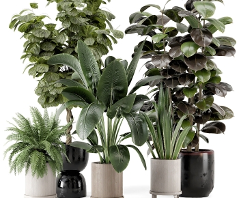 Modern Potted Green Plant-ID:884049891