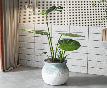 Wabi-sabi Style Potted Green Plant-ID:537372118