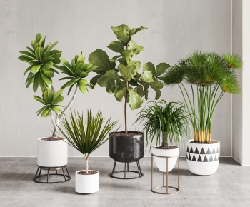 Modern Potted Green Plant-ID:299098979