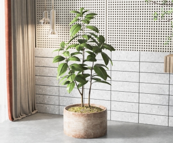 Modern Potted Green Plant-ID:177443981