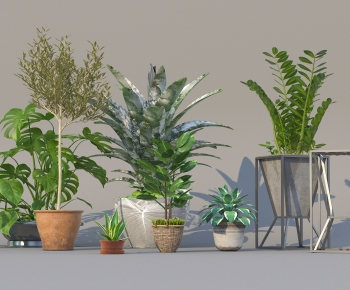 Modern Potted Green Plant-ID:455027103