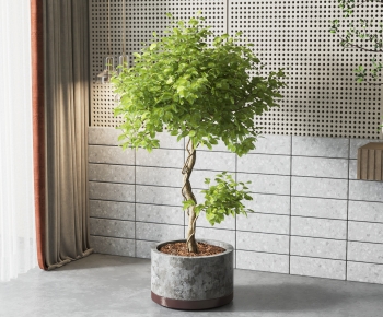 Modern Potted Green Plant-ID:190395123