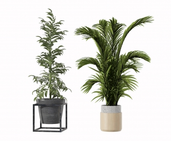 Modern Potted Green Plant-ID:385968929
