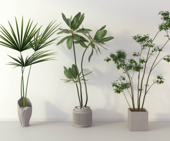 Modern Potted Green Plant-ID:574760431