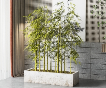 现代竹子绿植盆栽-ID:669698006