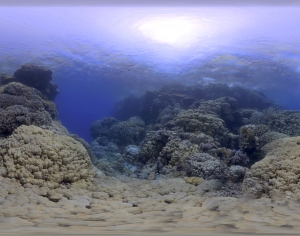 海水HDR贴图-ID:356431019