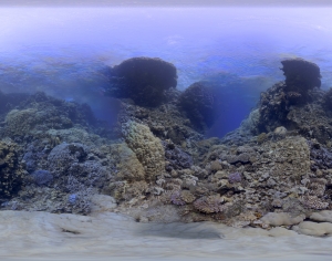 海水HDR贴图-ID:234334953
