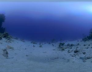 海水HDR贴图-ID:284394036