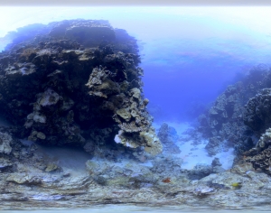 海水HDR贴图-ID:894557952