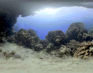 海水HDR贴图-ID:289570092
