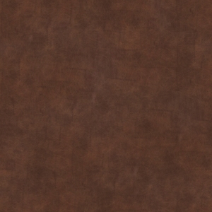 ModernRough Grain Leather