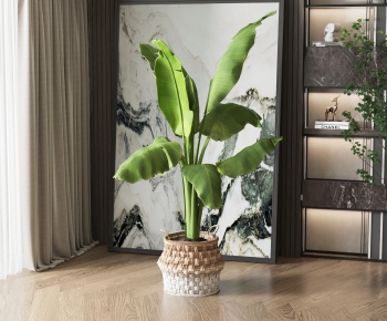 Modern Potted Green Plant-ID:113039021