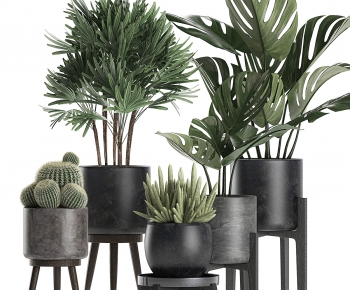 Modern Potted Green Plant-ID:610218056