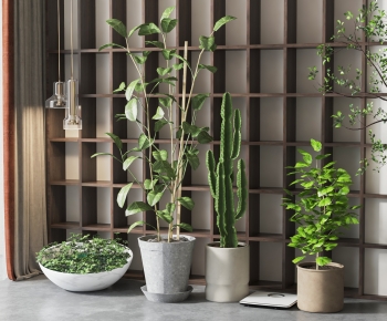 Modern Potted Green Plant-ID:581960783