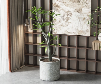 Modern Potted Green Plant-ID:506830937