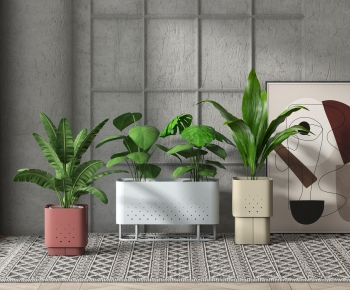 Modern Potted Green Plant-ID:213113079