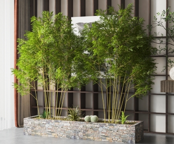Modern Bamboo-ID:270901925
