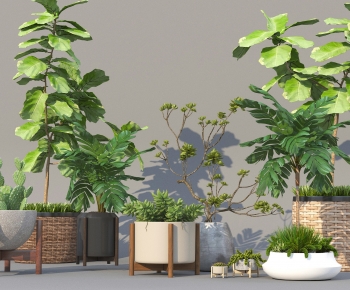 Modern Potted Green Plant-ID:846428993