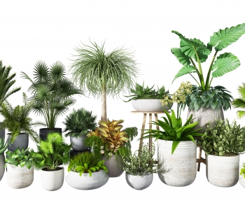 Modern Potted Green Plant-ID:766894107